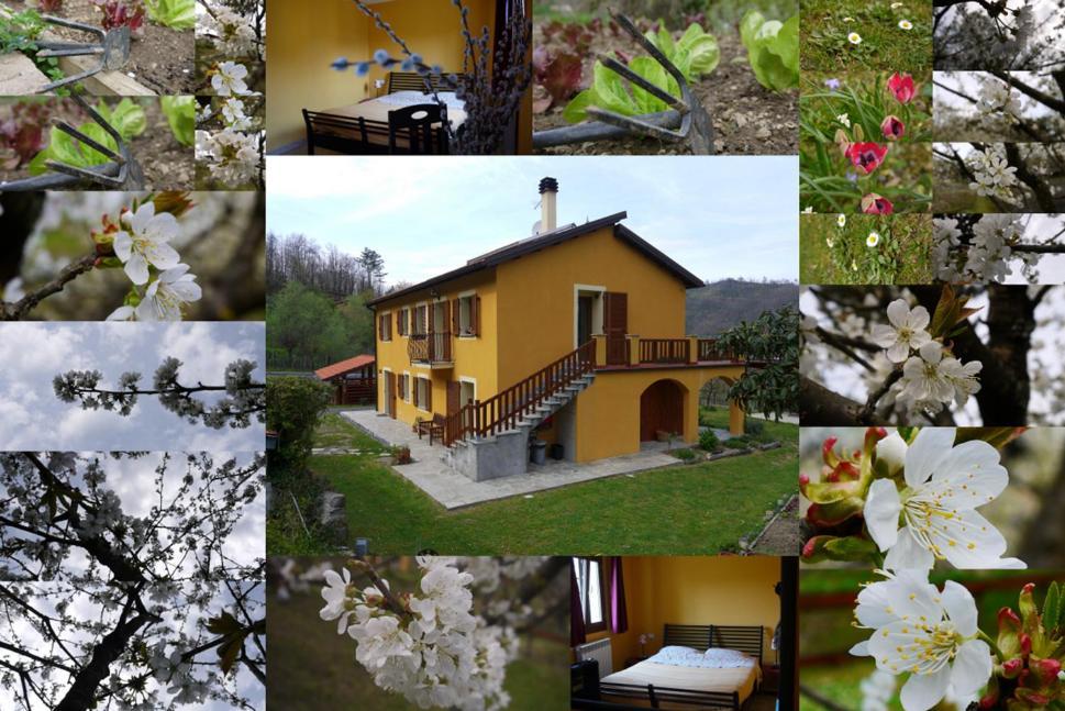 La Bordigona Bed & Breakfast Borghetto di Vara Exterior photo